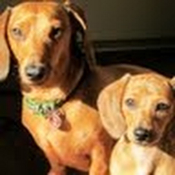 Meet your Posher, Thomas - Picture 1 of 1